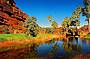 1 Day Palm Valley 4WD Adventure