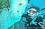 4 Day PADI Open Water Learn to Dive Course